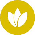 Logo_Consult-Cols